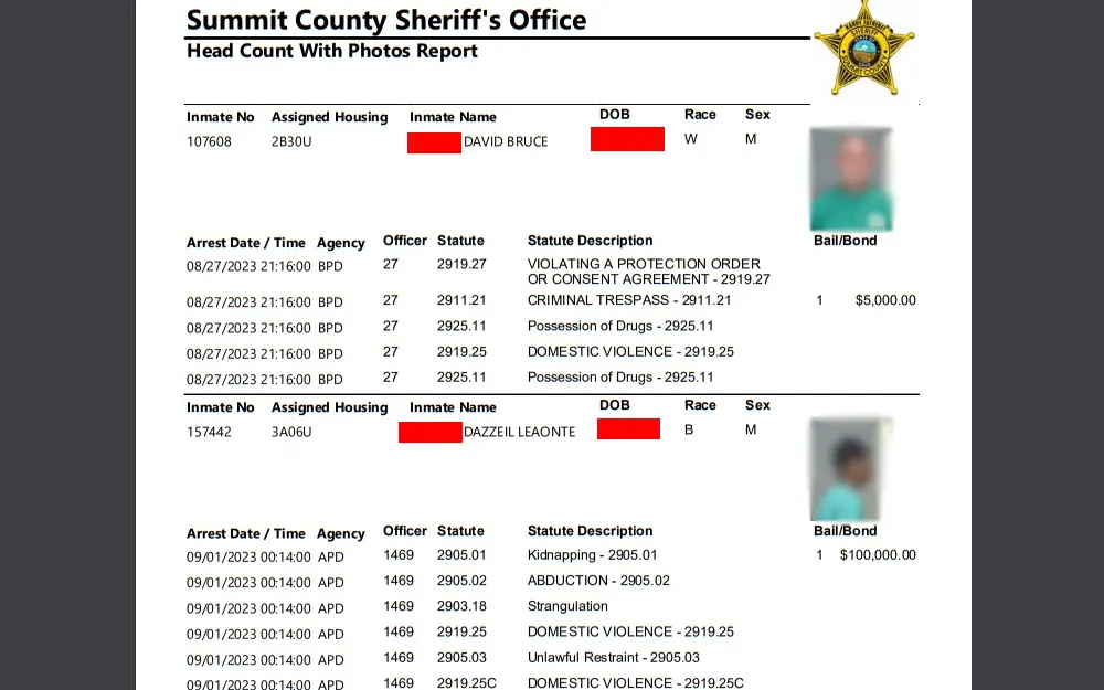 A screenshot showing the list of Active Offenders provided by the Summit County Sheriff's Office showing their inmate number, assigned housing, full name, DOB, race, sex, mugshots, and other information about their arrest.