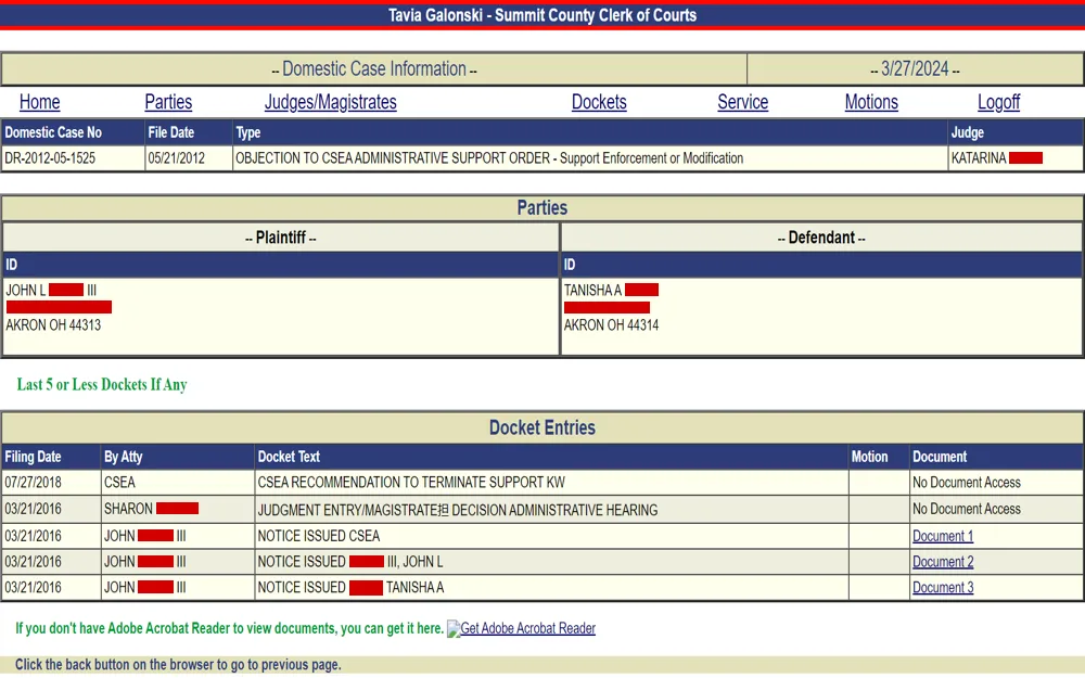 A screenshot from the Summit County Clerk of Courts detailing a domestic case, including case number, filing date, type of case, parties involved with their addresses, assigned judge, and recent docket entries with dates, actions taken, and links to associated documents.