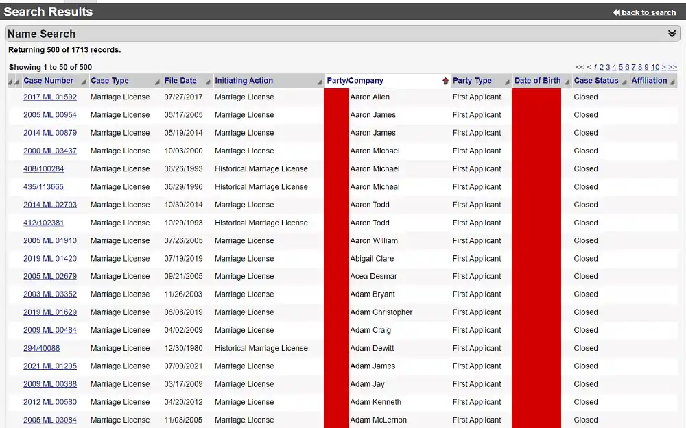 A screenshot showing the Summit County Probate Court case search results displaying information such as name, case number, case type (marriage license), date filed, initiating action, party or company name, party type, date of birth, case status, and affiliation.